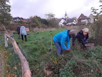 Fleißige Helferinnen bringen die Wiese in Schuss