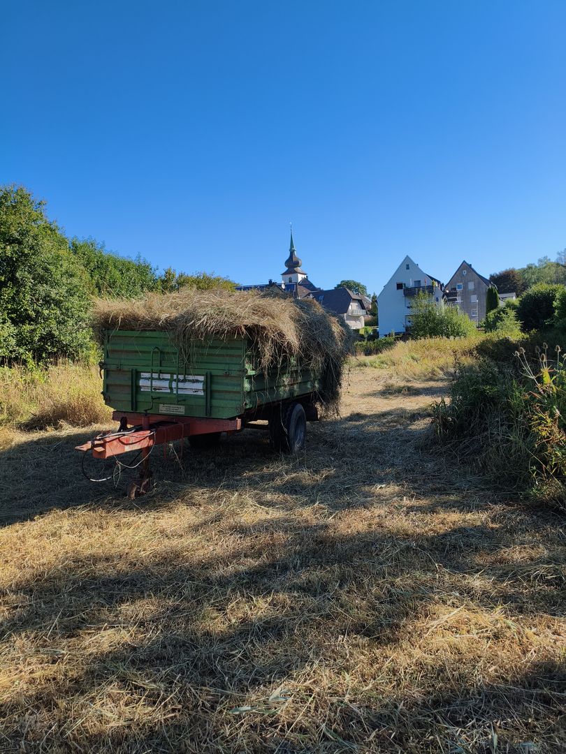Anhänger mit Heu