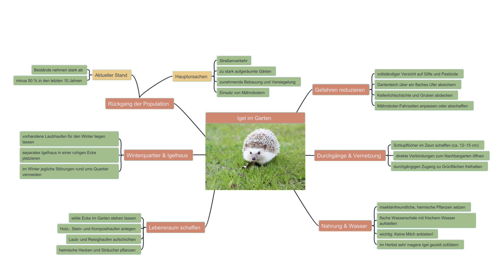 Mindmap Igel im Garten