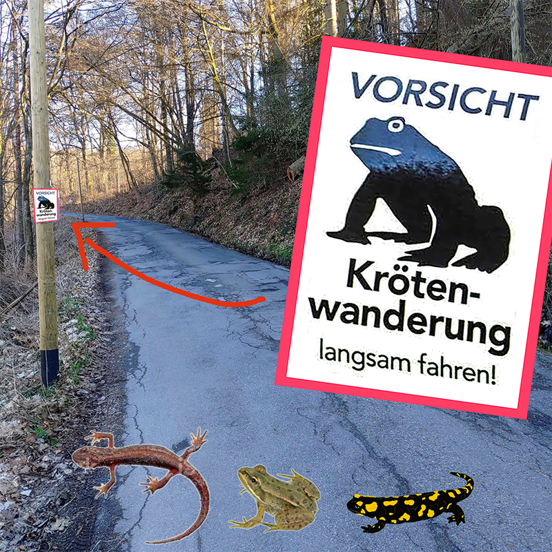 Glörstraße mit Schild "Krötenwanderung"